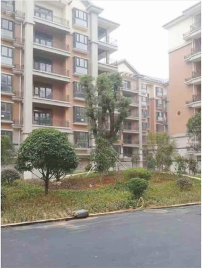 湖南鵬志新材料有限公司,婁底建筑涂料研發生產,婁底建筑防水材料研發生產